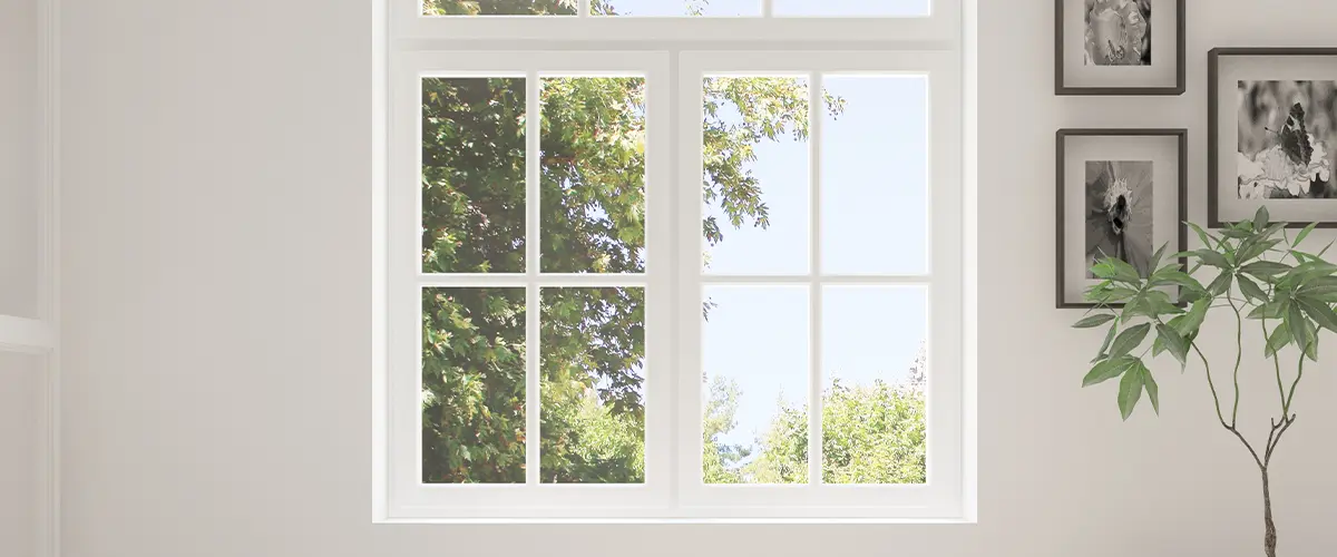 A window in a room with a plant and pictures on the wall